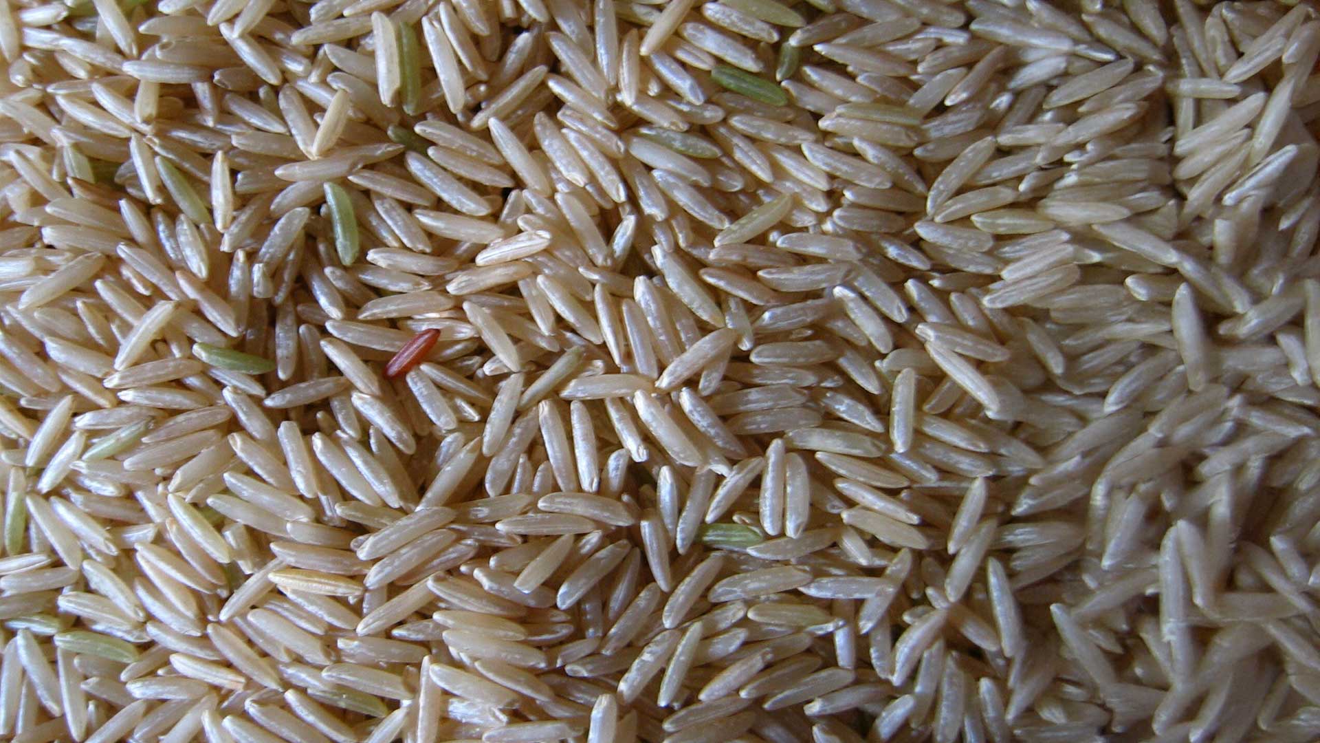 Basmati Rice